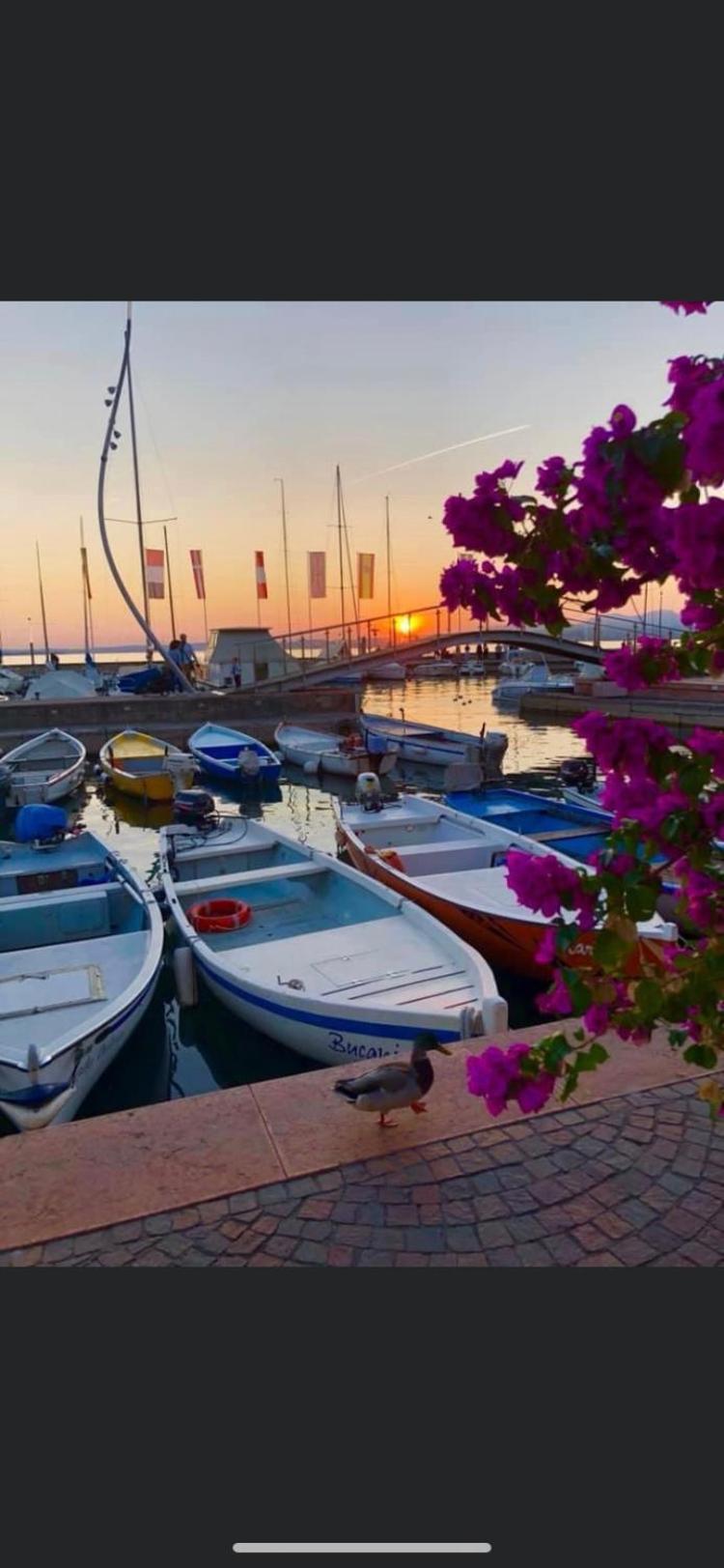 Canevon Suite Apartment Bardolino Zewnętrze zdjęcie